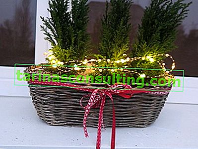 Copricapo di Natale in un cestino