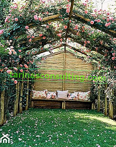 Ein romantischer Garten mit einer Rosen-Pergola