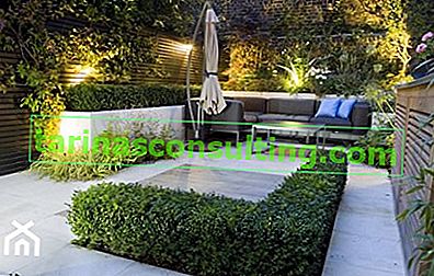trendiger Hausgarten im minimalistischen Stil