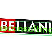Belliani Spiegel