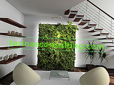 moderno giardino verticale nel soggiorno