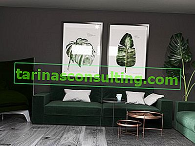 šedé stěny a tmavě zelená pohovka v obývacím pokoji