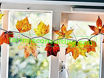 Come decorare una finestra con foglie d'autunno?  - Per la disposizione della finestra autunnale, puoi usare senza esitazione foglie secche e colorate ...
